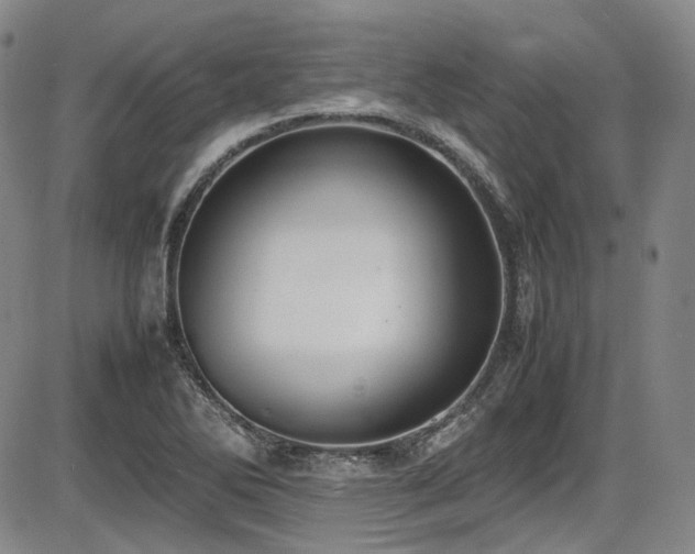 X0000086341270200703301246