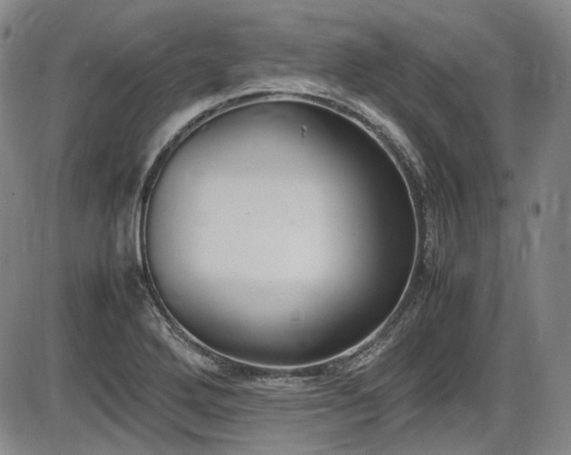X0000086341272200703301246