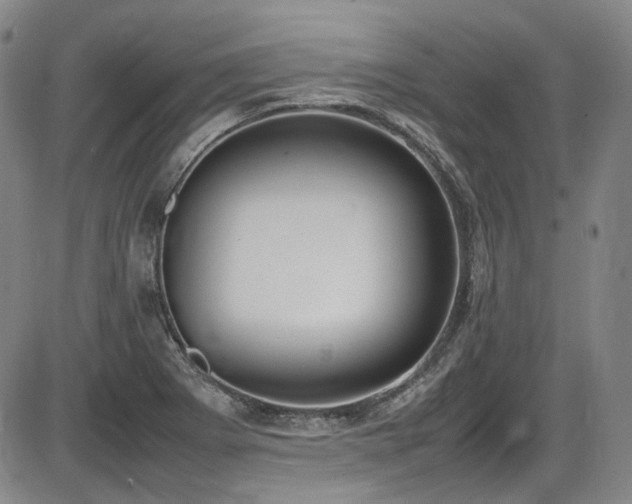 X0000086341273200703301246