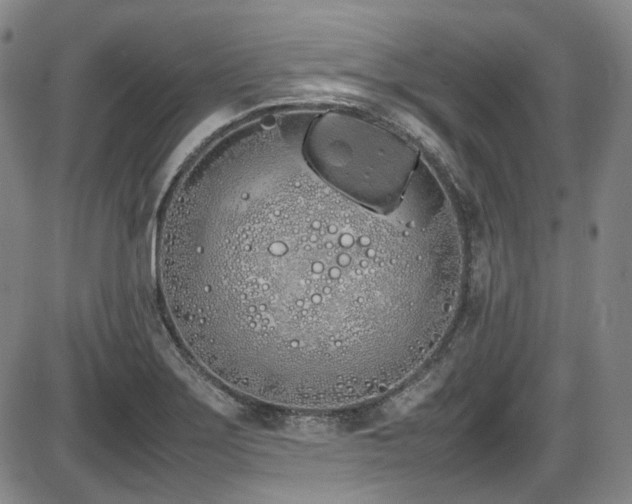 X0000086341275200703301246