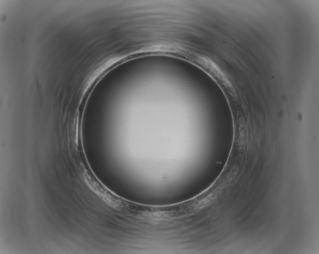 X0000086341276200703301246