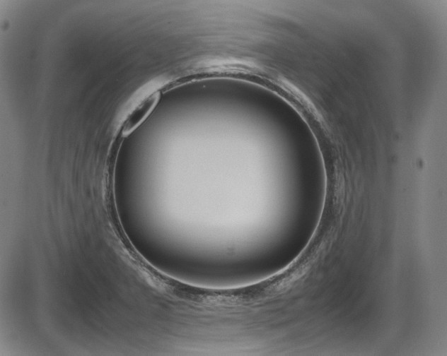 X0000086341277200703301246