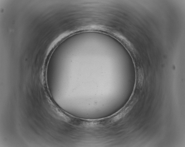 X0000086341278200703301246