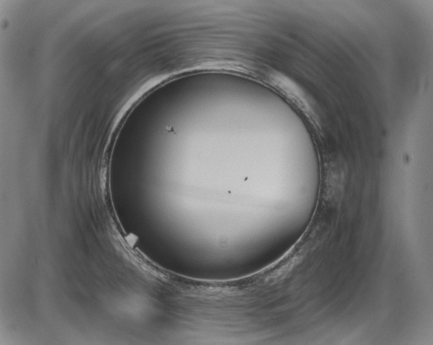 X0000086341284200703301246