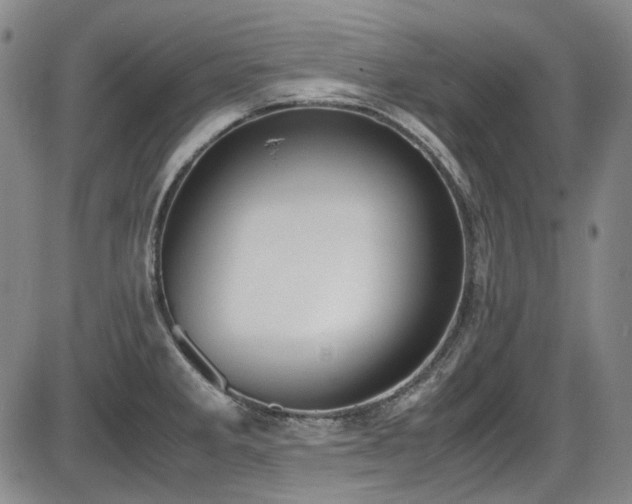 X0000086341285200703301246