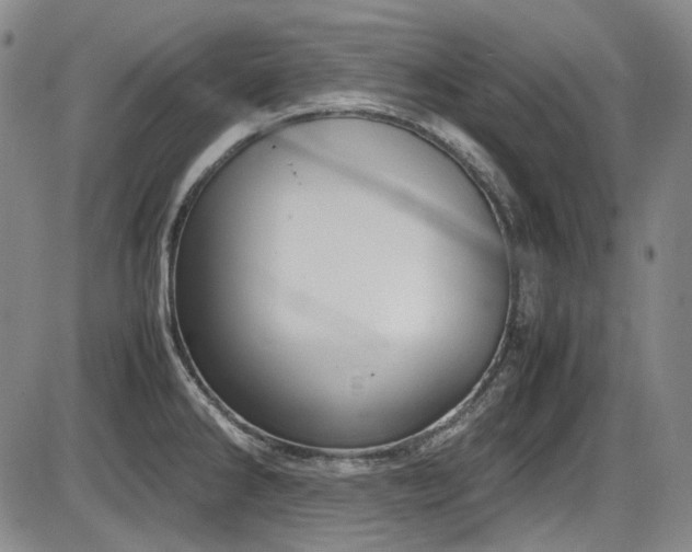 X0000086341286200703301246