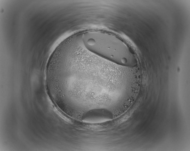 X0000086341287200703301246