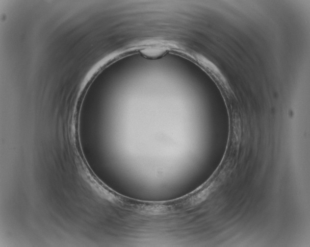 X0000086341288200703301246