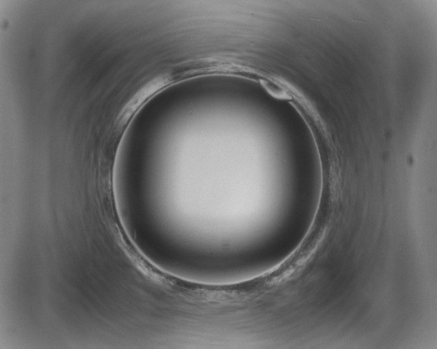 X0000086341289200703301246