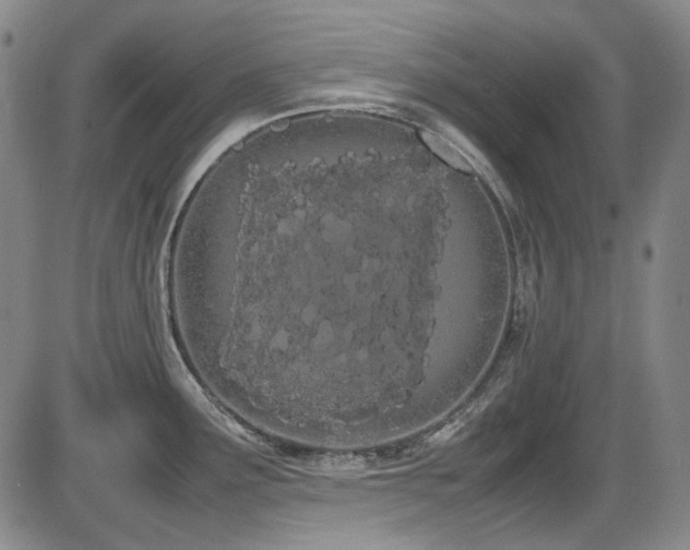 X0000086341291200703301246
