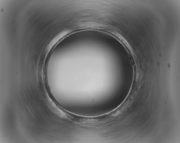 X0000086341293200703301246