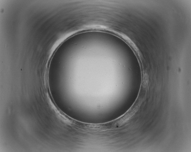 X0000086341295200703301246