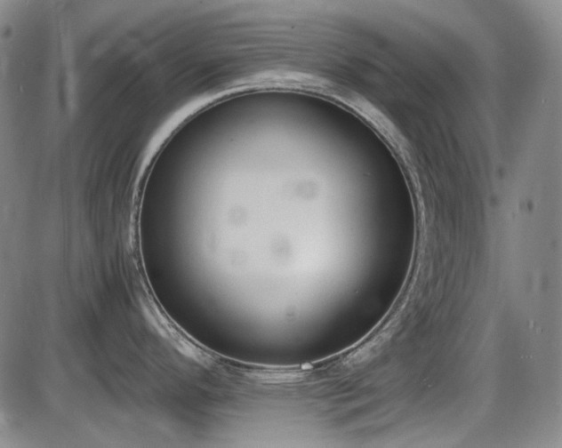 X0000086341296200703301246