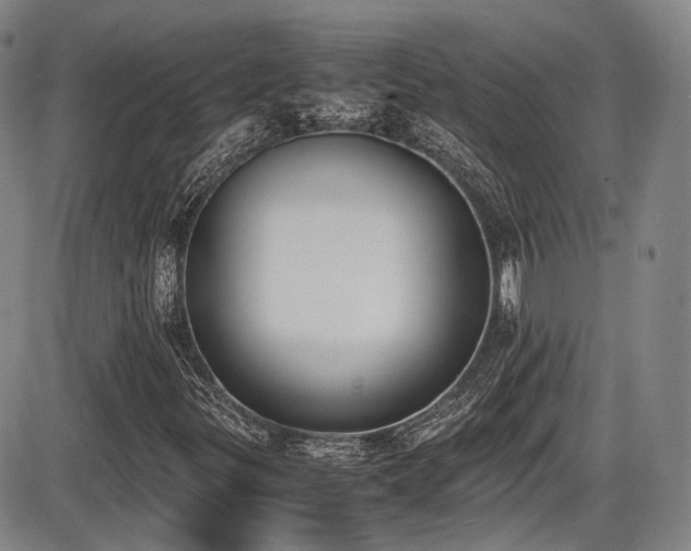 X0000086341299200703301245