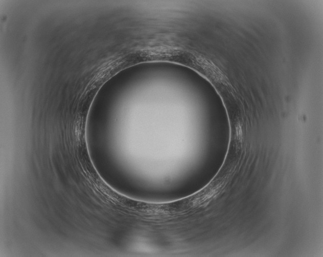 X0000086341300200703301245