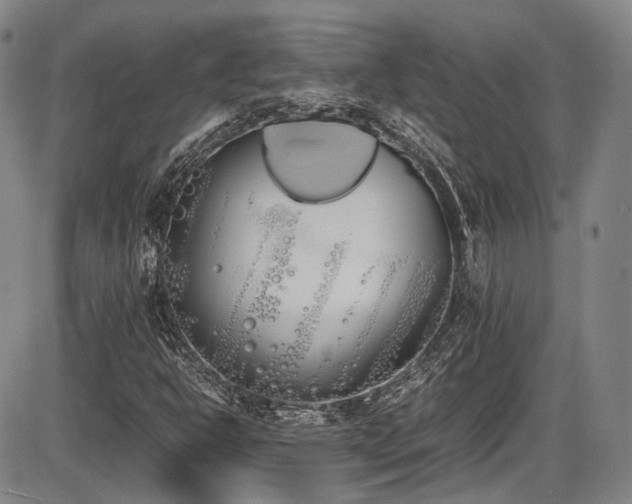 X0000086341302200703301245