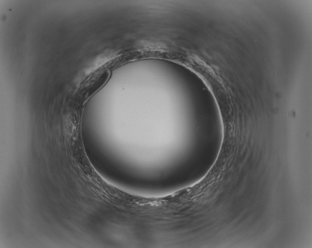 X0000086341303200703301245