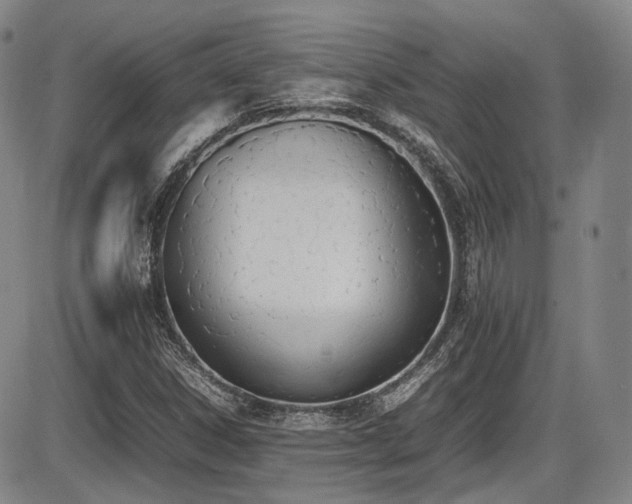 X0000086341306200703301245