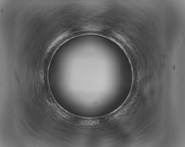 X0000086341307200703301245