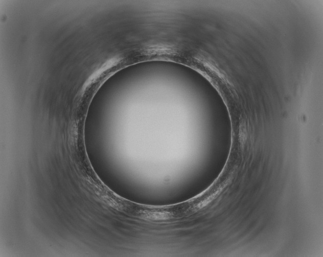X0000086341309200703301245