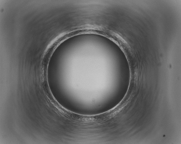 X0000086341310200703301245