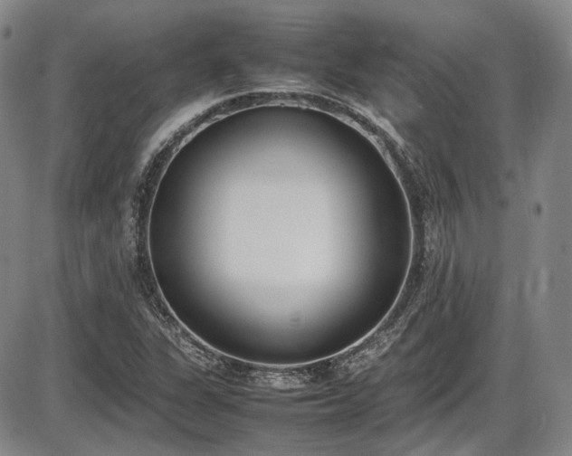 X0000086341311200703301245