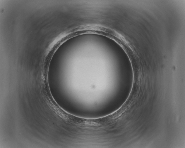 X0000086341312200703301245