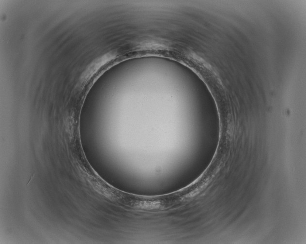 X0000086341313200703301245