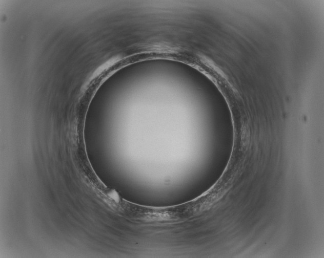 X0000086341315200703301245