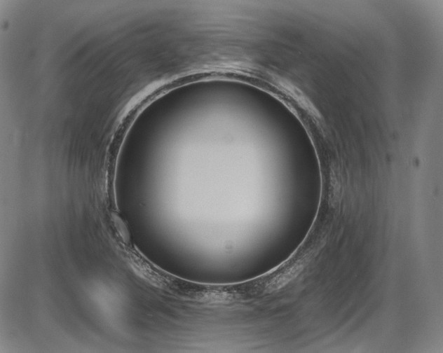 X0000086341316200703301245