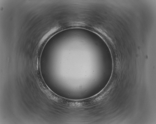 X0000086341317200703301245