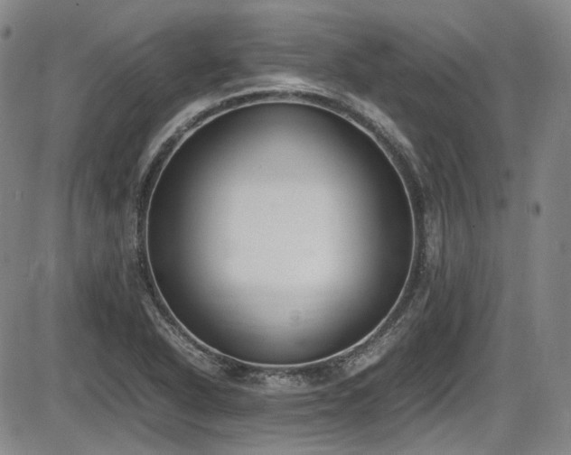 X0000086341318200703301245