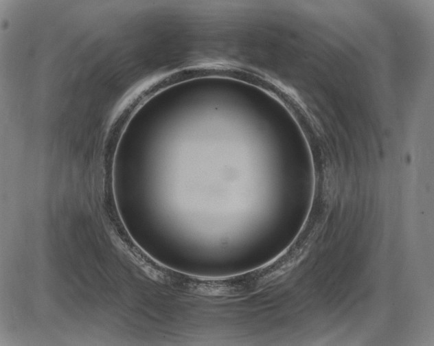 X0000086341319200703301245