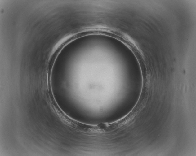 X0000086341320200703301245