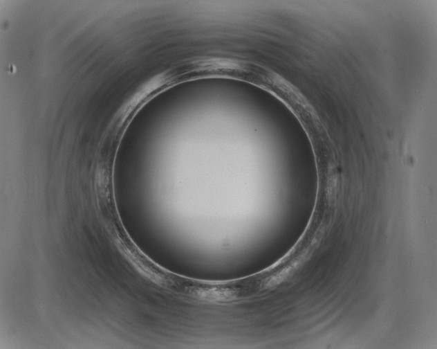 X0000086341321200703301245