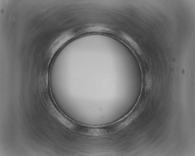 X0000086341322200703301245