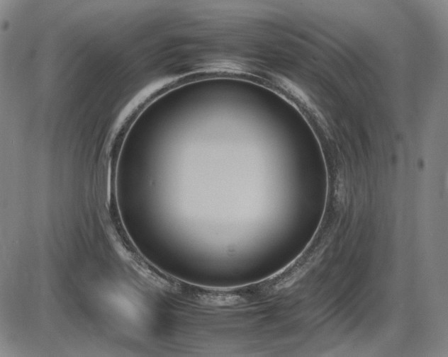X0000086341323200703301245