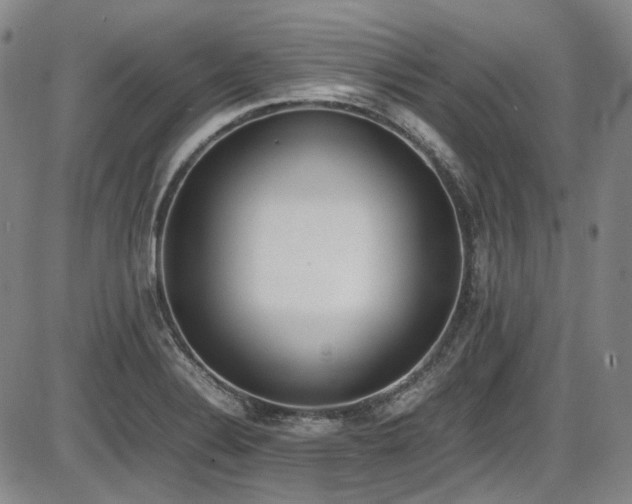 X0000086341324200703301245