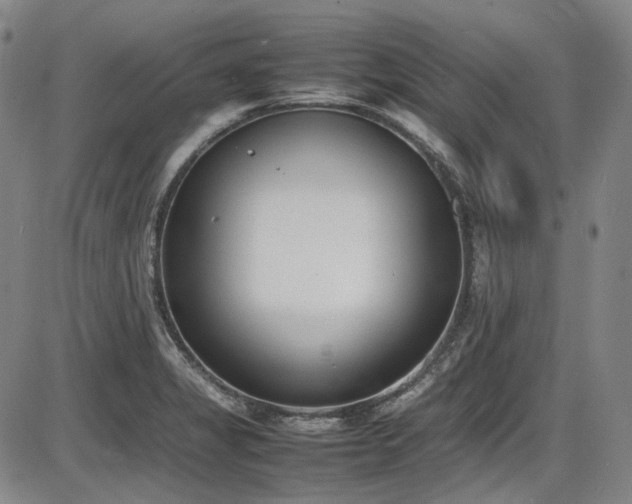 X0000086341325200703301245