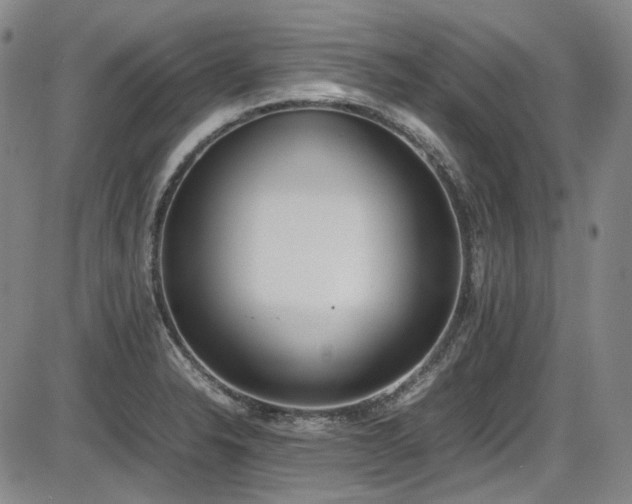 X0000086341326200703301245