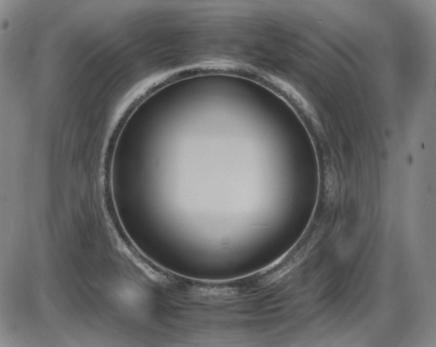 X0000086341327200703301245