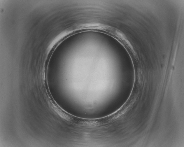 X0000086341328200703301246