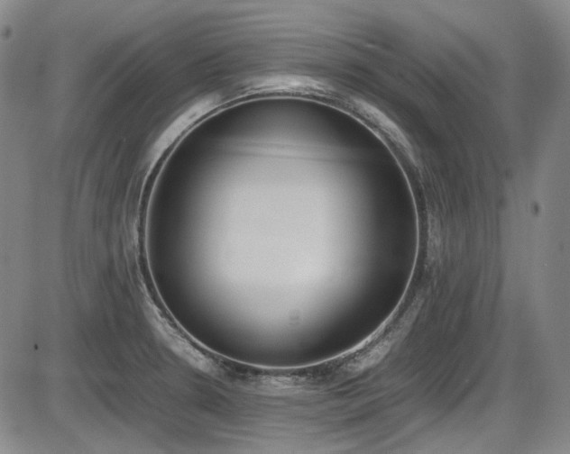 X0000086341330200703301246