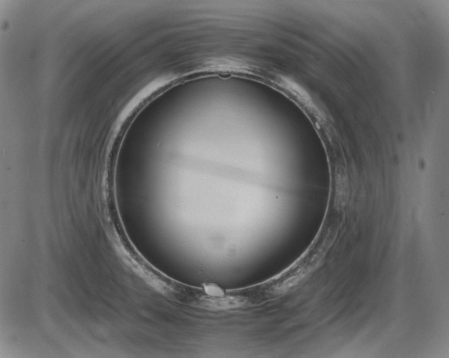 X0000086341331200703301246