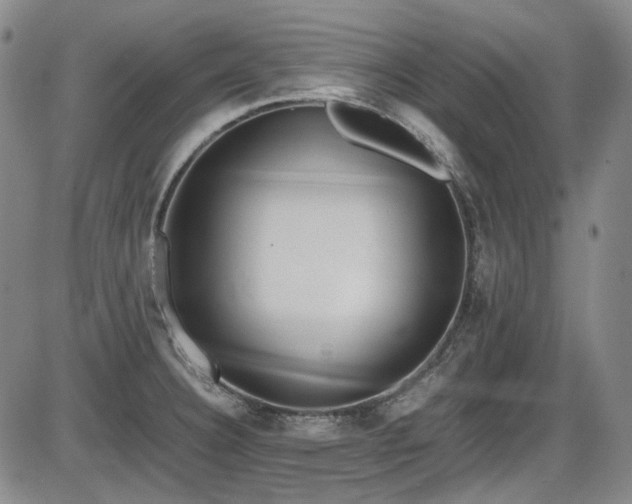 X0000086341332200703301246