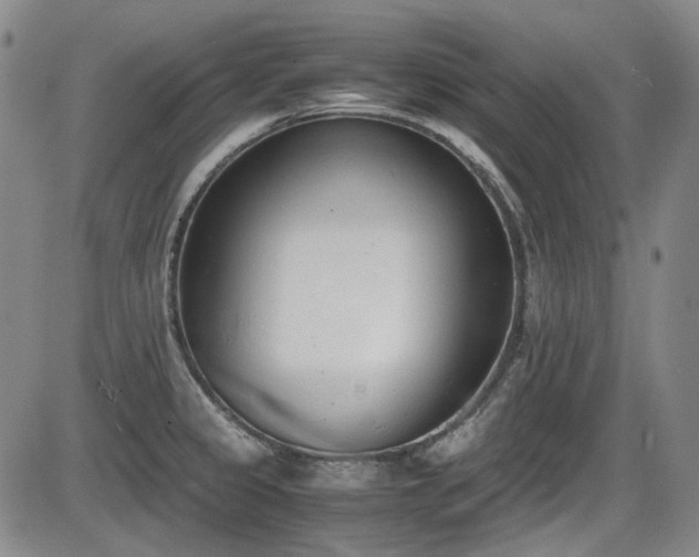 X0000086341333200703301246