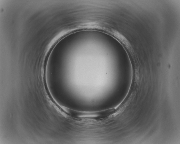 X0000086341334200703301246