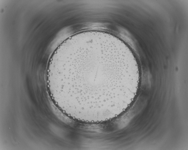 X0000086341338200703301246