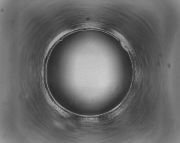 X0000086341339200703301246