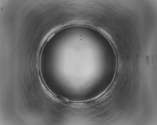 X0000086341342200703301246